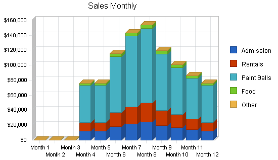 Paintball facility business plan, strategy and implementation summary chart image