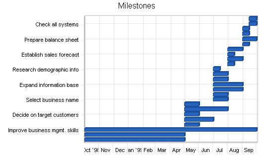 Computer consulting business plan, strategy and implementation summary chart image