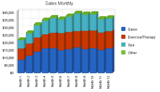 Spa health club business plan, strategy and implementation summary chart image