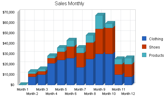 E-commerce internet business plan, strategy and implementation summary chart image