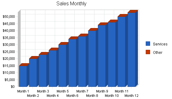 Veterinary clinic business plan, strategy and implementation summary chart image