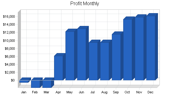 Online print shop business plan, financial plan chart image