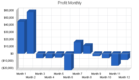 Multi sport complex business plan, financial plan chart image