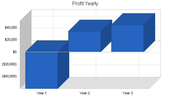 Bicycle courier business plan, financial plan chart image