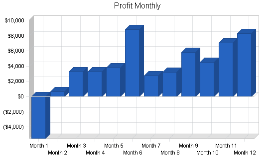 Rock climbing gym business plan, financial plan chart image