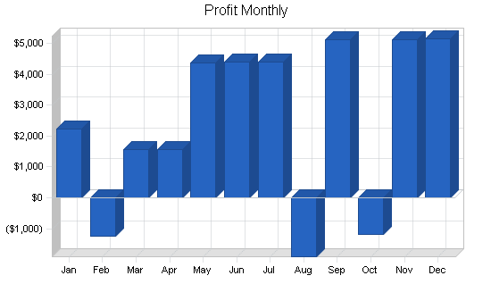 Airport shuttle business plan, financial plan chart image