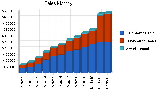 Asp software developer business plan, strategy and implementation summary chart image