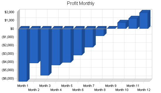 Sbp, electronics retailer business plan, financial plan chart image