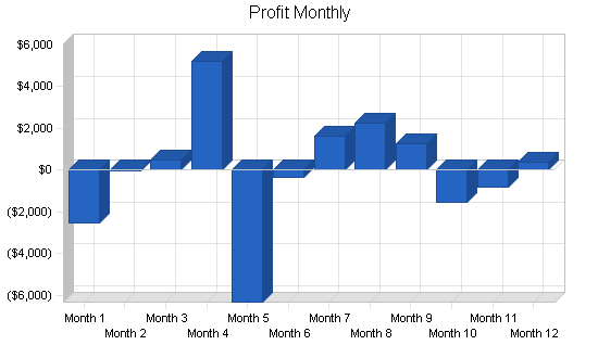 Lingerie shop business plan, financial plan chart image