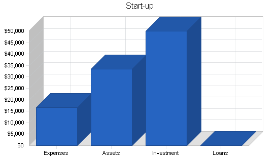 Wireless datacomm business plan, company summary chart image