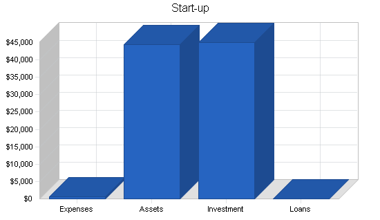 Independent video store business plan, company summary chart image