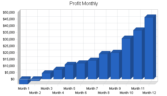 Inline skating products business plan, financial plan chart image