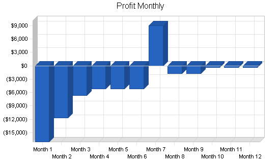 Tourism website services business plan, financial plan chart image