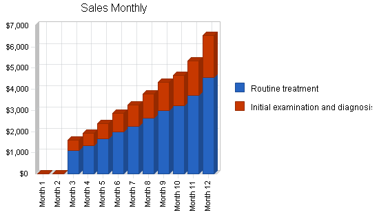 Chiropractic business plan, strategy and implementation summary chart image