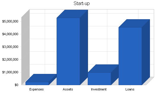 Amusement park business plan, company summary chart image