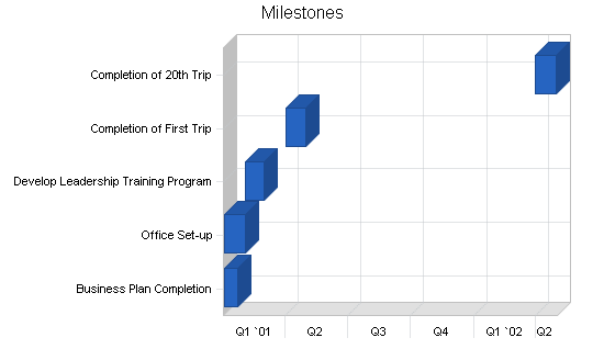 Travel agency business plan, strategy and implementation summary chart image