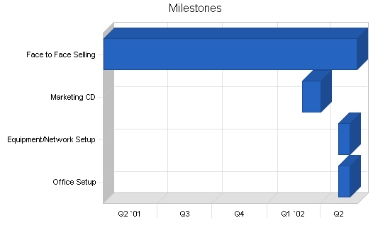 Computer programming business plan, strategy and implementation summary chart image