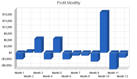 Theatrical music producers business plan, financial plan chart image