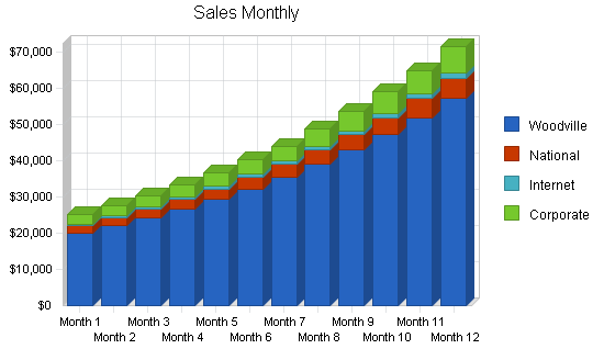 International travel agency business plan, strategy and implementation summary chart image