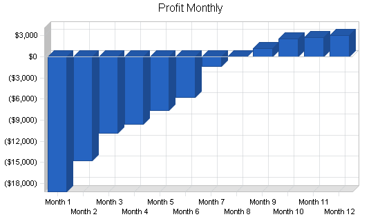 Bicycle courier business plan, financial plan chart image