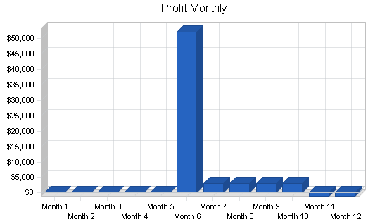 Travel agency - upscale business plan, financial plan chart image