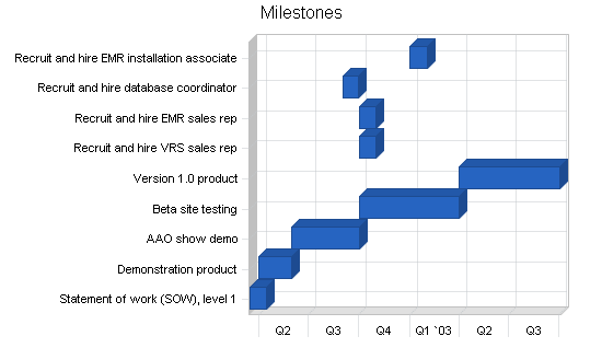 Voice recognition software business plan, strategy and implementation summary chart image