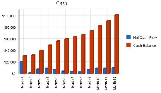 Laser tag gaming center business plan, financial plan chart image