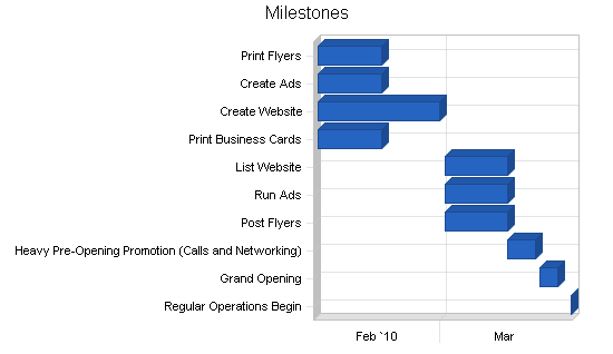 Tattoo parlor business plan, strategy and implementation summary chart image