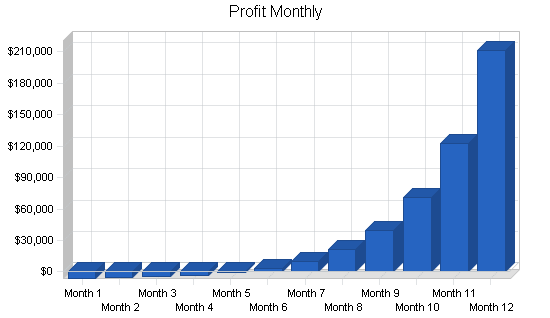 Business consulting business plan, financial plan chart image