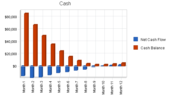 Bicycle courier business plan, financial plan chart image