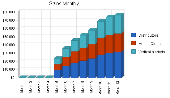 Fitness equipment business plan, strategy and implementation summary chart image