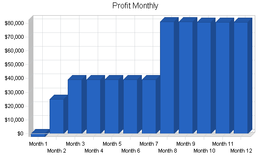 Mediterranean restaurant business plan, financial plan chart image