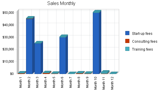 Software sales business plan, strategy and implementation summary chart image