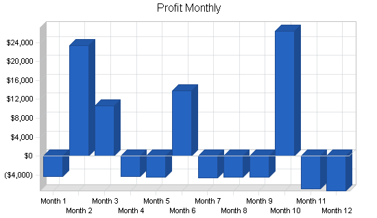 Software sales business plan, financial plan chart image