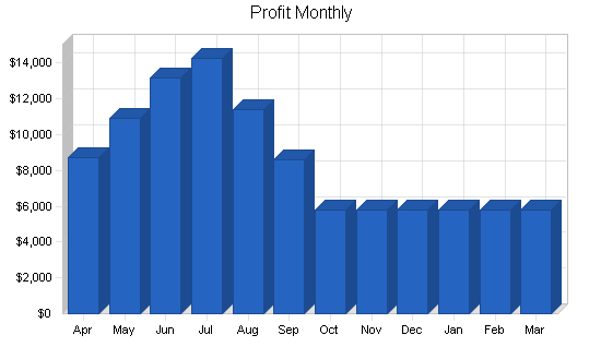 Business property inspection business plan, financial plan chart image