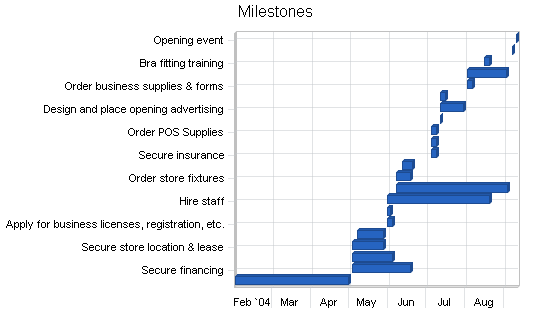 Lingerie shop business plan, strategy and implementation summary chart image