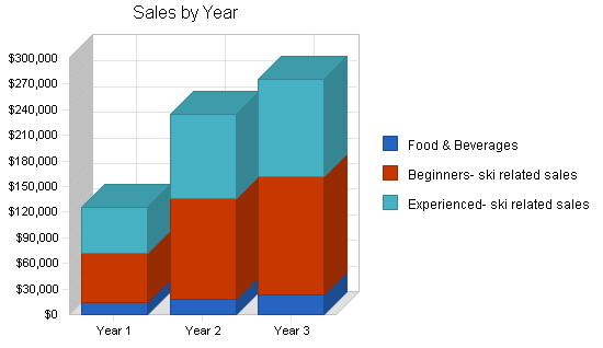 Skate park skiing business plan, strategy and implementation summary chart image