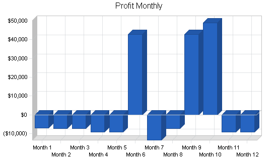 Travel agency business plan, financial plan chart image