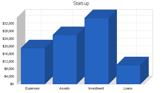 Technology investment business plan, organization summary chart image