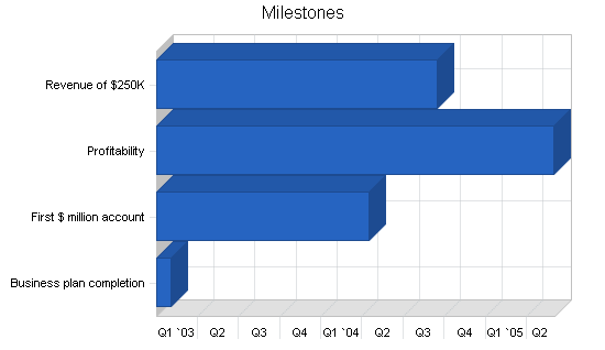 Financial services business plan, strategy and implementation summary chart image