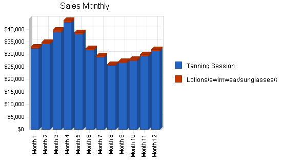 Tanning salon business plan, strategy and implementation summary chart image