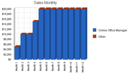 Online services business plan, strategy and implementation summary chart image