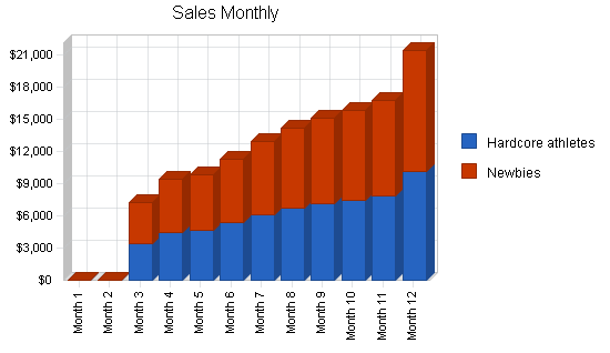 Sports clothing retail shop business plan, strategy and implementation summary chart image