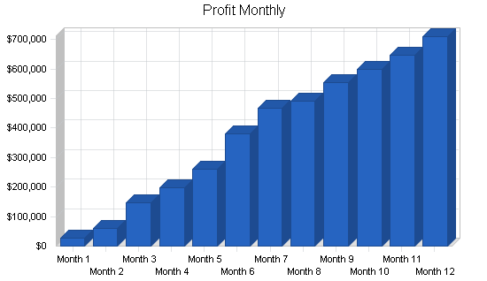 Real estate website business plan, financial plan chart image