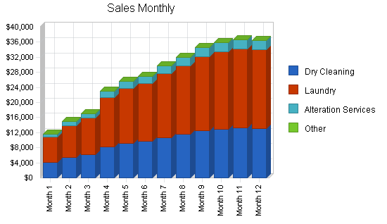 Dry cleaning home delivery business plan, strategy and implementation summary chart image