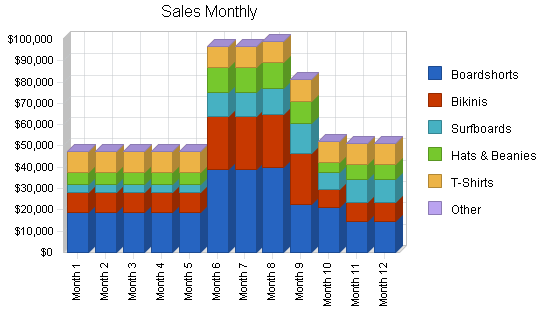 Surf clothing and sportswear business plan, strategy and implementation summary chart image