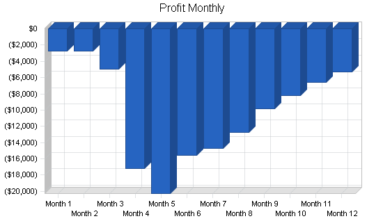 Sports therapy business plan, financial plan chart image