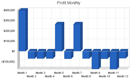 Aircraft weighing systems business plan, financial plan chart image