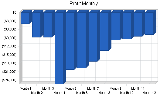 Computer software business plan, financial plan chart image