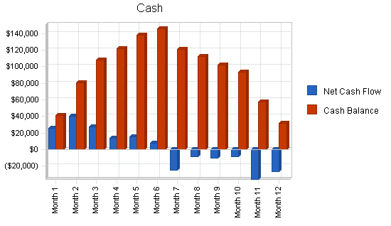 Resort hotel ski lodge business plan, financial plan chart image